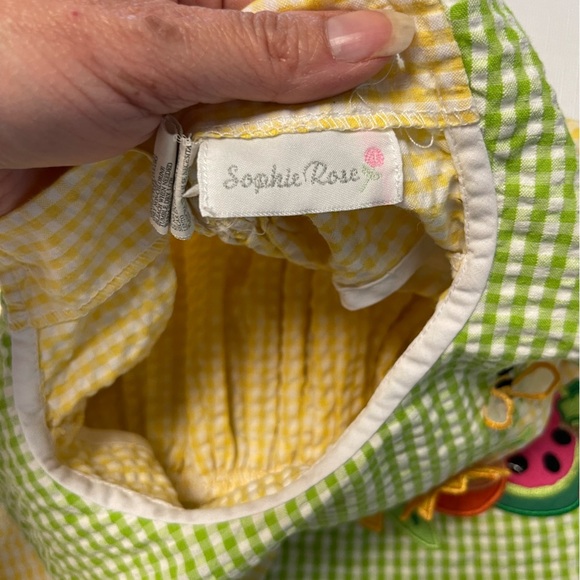 Sophie Rose Summer Dress | Size 3t - Picture 6 of 10